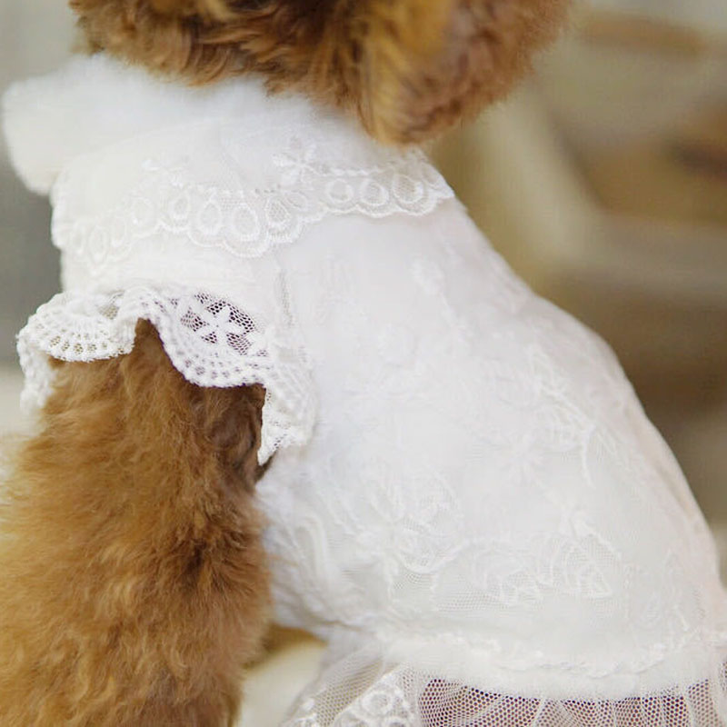 Pakaian Anjing Putih Mantel Ga - Winter Clothing Kids ulasan dan harga