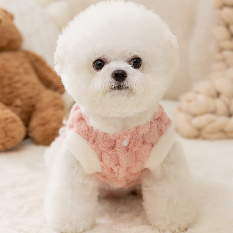 Mantel hangat anjing peliharaa - Winter Clothing Kids ulasan dan harga