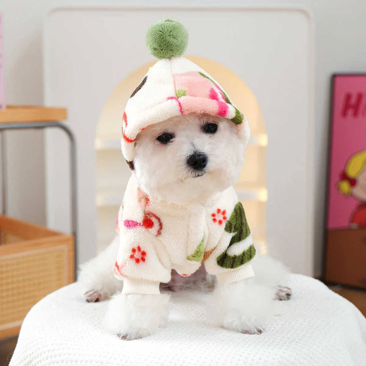 Pakaian Anjing dan Kucing Teba - Winter Clothing Must Haves ulasan dan harga