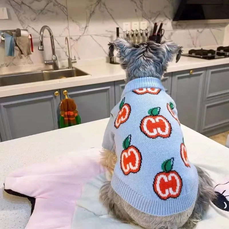Baju Sweater Anjing Bahan Katu - Winter Clothing Kids ulasan dan harga